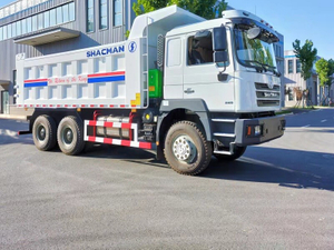 SHACMAN F3000 Dump Truck 6x4 -5